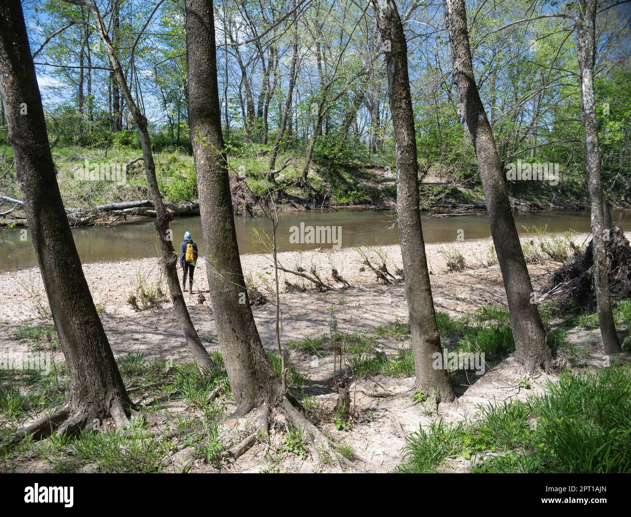 Graham Cave State Park Stockfoto Graham Cave State Park Stockfoto