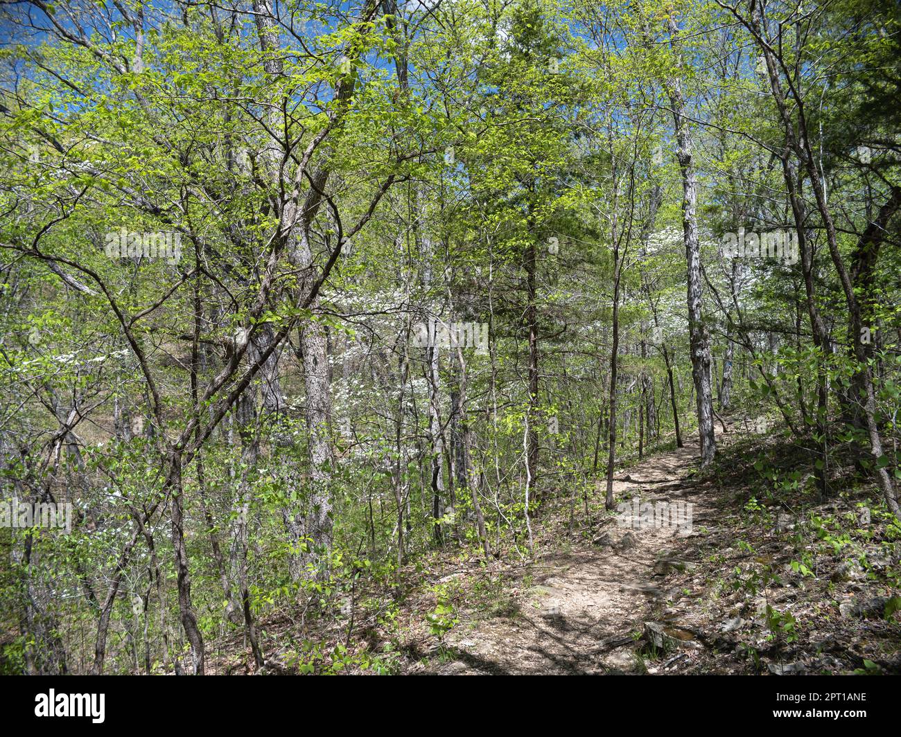 Graham Cave State Park Stockfoto Graham Cave State Park Stockfoto