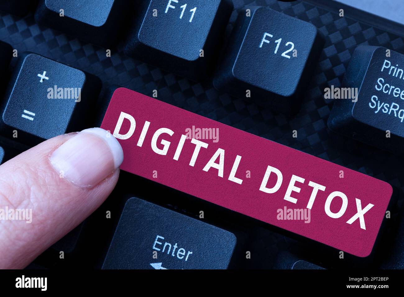 Schild mit Digital Detox, Business Showcase, das die Nutzung von elektronischen und digitalen Geräten verbietet Stockfoto