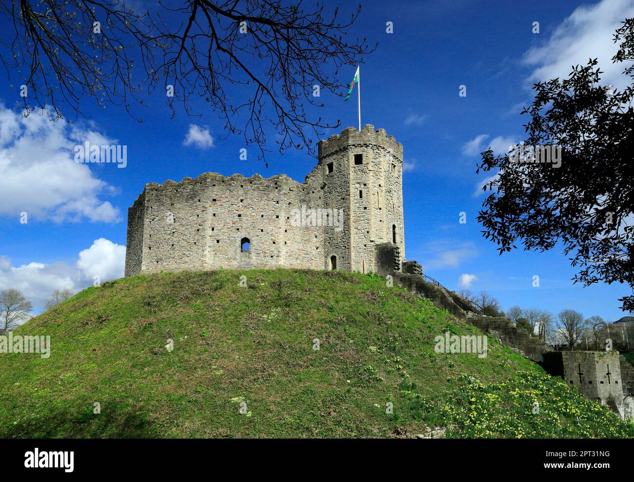 Norman Keep, Cardiff Castle, Cardiff, Souuth Wales, Großbritannien. Stockfoto