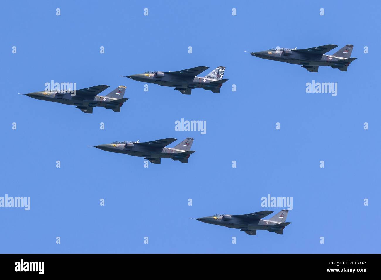 J-22 Orao Stockfoto