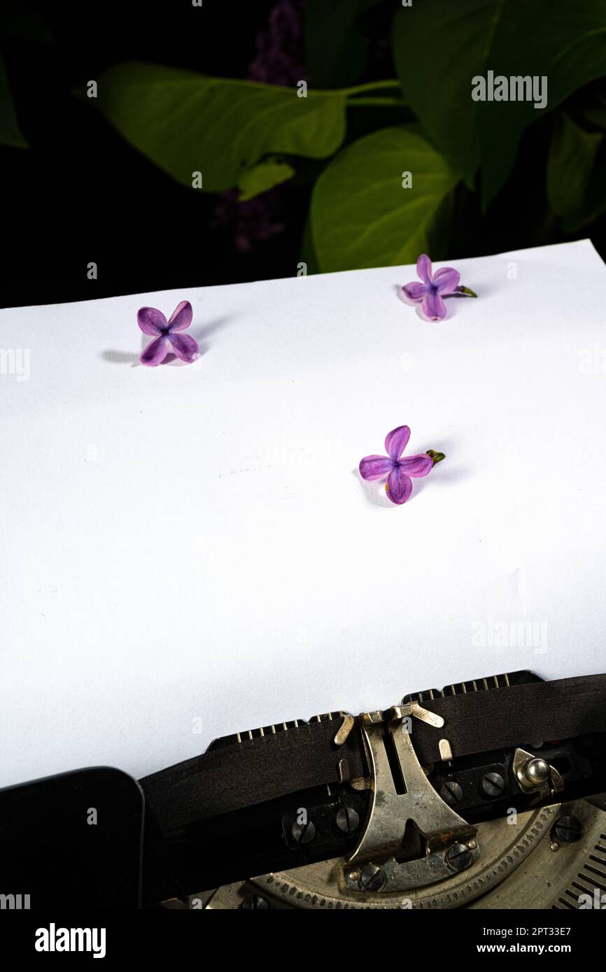 Alte Schreibmaschine, Blatt Papier und Flieder Stockfoto