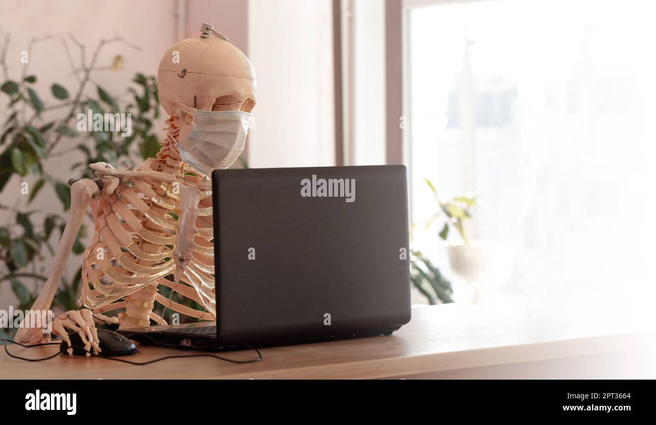 Das Skelett in einer medizinischen Maske mit einem Computer im Büro Stockfoto