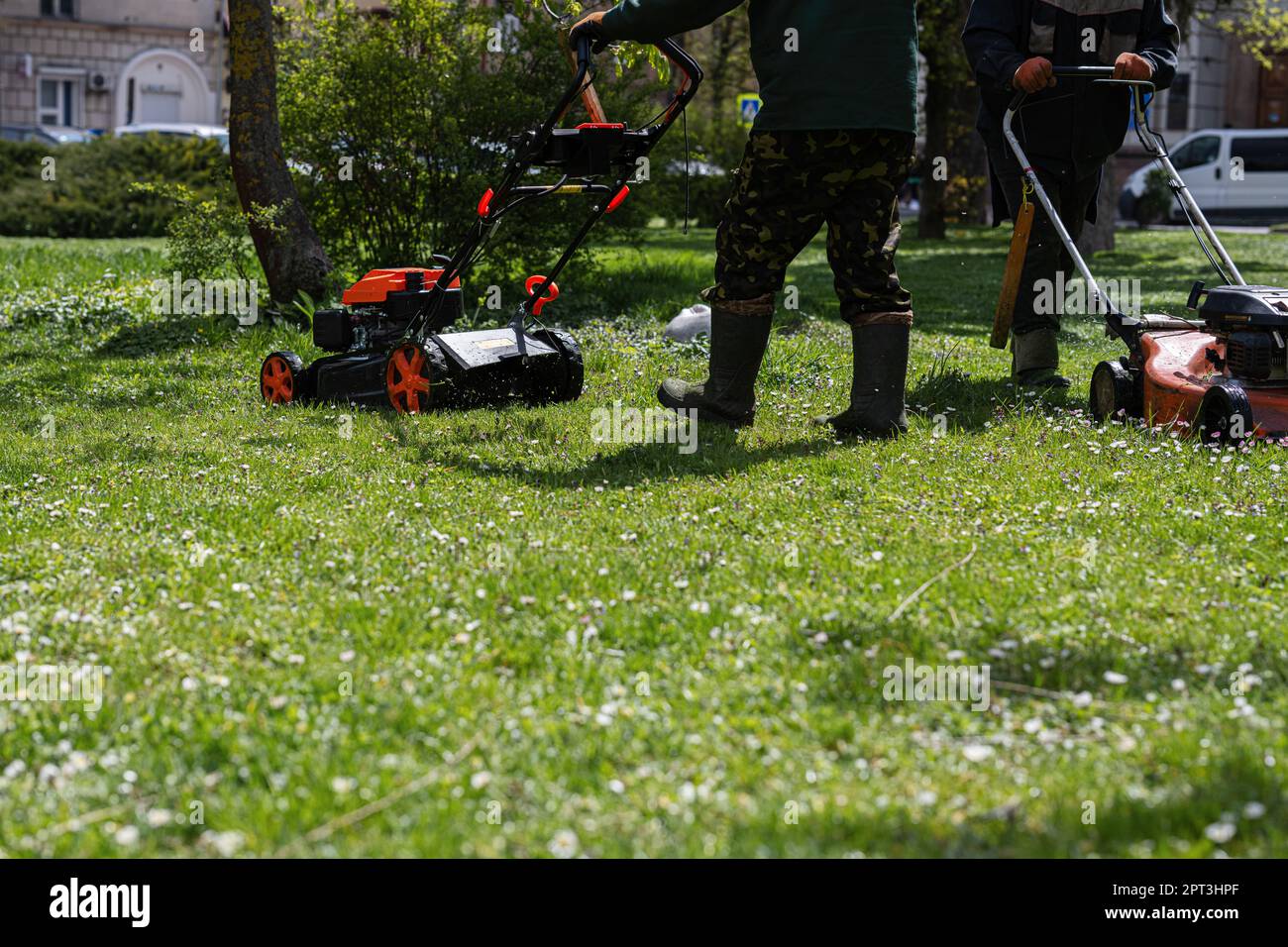 Gärtner für kommunale Dienstleistungen Mann, der Rasenmäher zum Rasenmähen  im Stadtpark verwendet Stockfotografie - Alamy