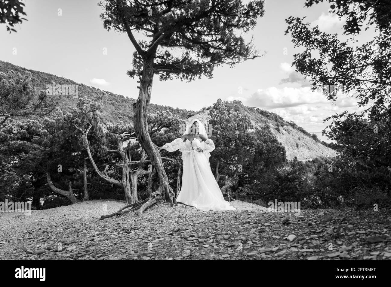 Eine schwarze Braut in einem weißen Kleid steht neben einem alten Baum vor dem Hintergrund der Berge, schwarz-weiße Version Stockfoto