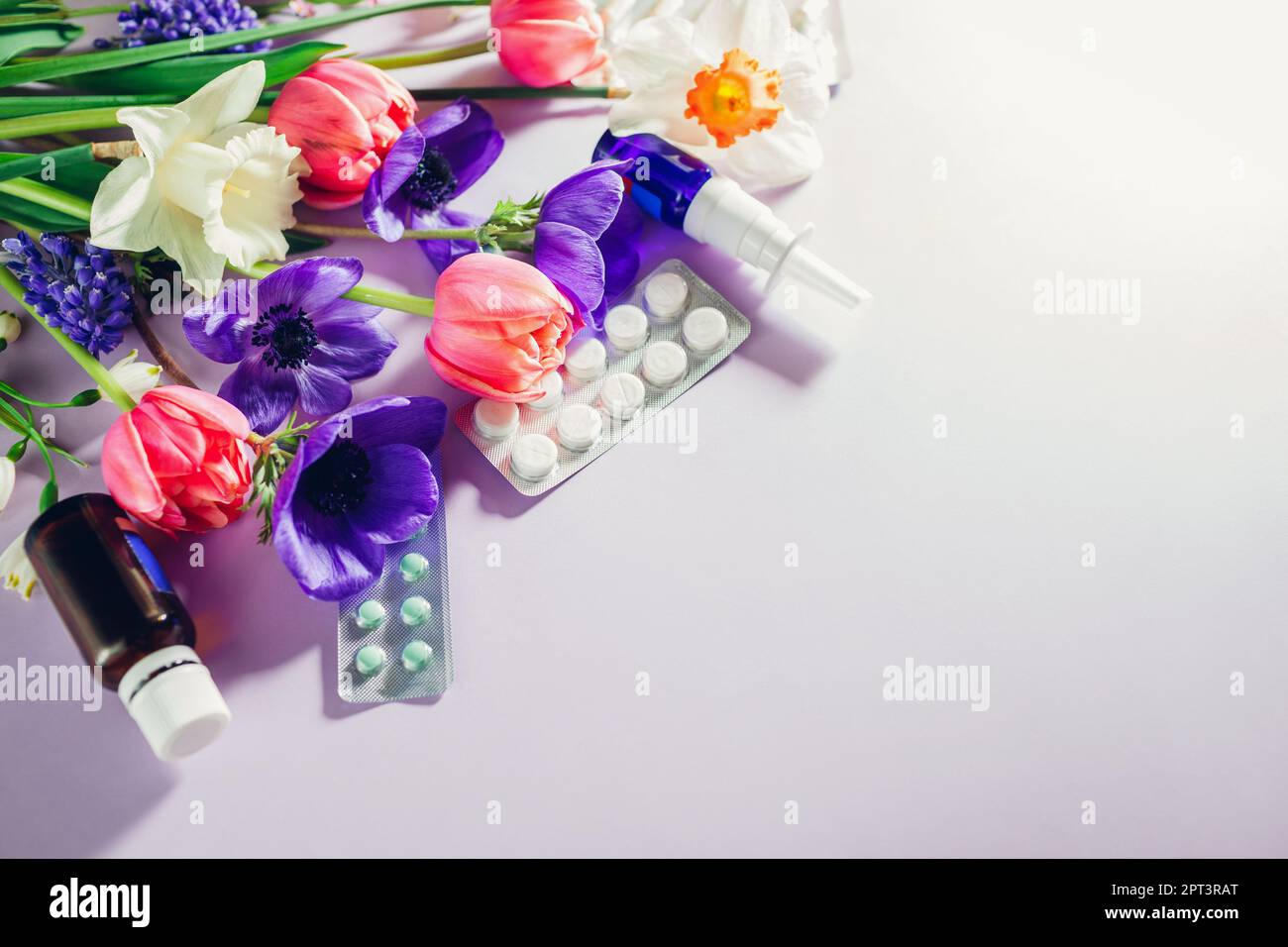 Saisonale Frühjahrsallergie. Die Pillen und das Nasenspray lagen flach mit violett-pinkfarbenen weißen Blumen. Gesundheitswesen und Medizin. Draufsicht. Leerzeichen Stockfoto