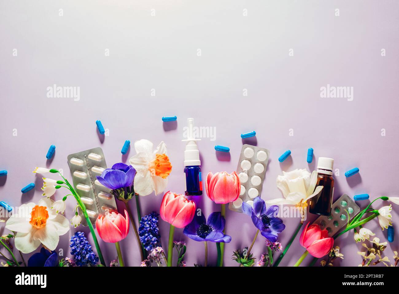 Saisonales Frühjahrsallergiemodell. Pillen und Nasenspray lagen flach mit lila rosa Blumen. Medizin für Allergiker. Draufsicht. Leerzeichen Stockfoto