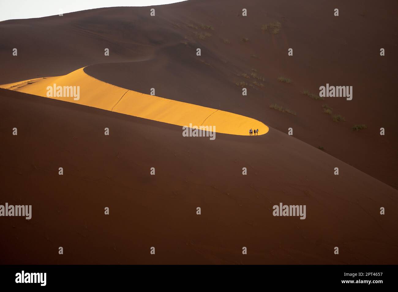 Touristen klettern auf Sanddünen, Sossusvlei, Namib-Wüste, Namib-Naukluft Park, Namibia Stockfoto