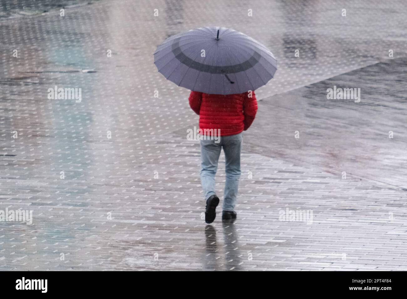 Roter Männermantel mit Regenschirm unter Regen, zwischen Vögeln vom Hinterteil und ohne Gesicht. Herbstkonzept für Regen. Selektiver Fokus. Stockfoto