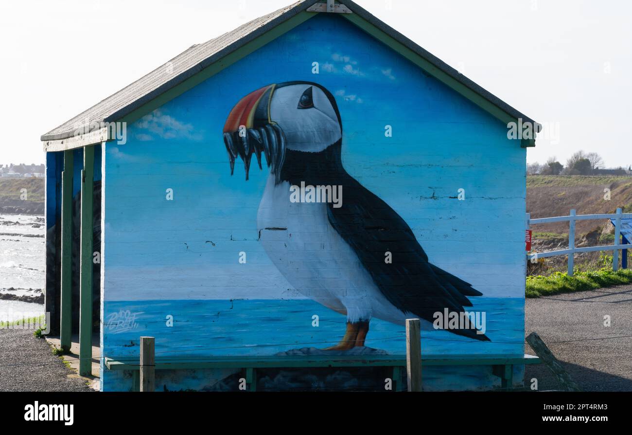 Puffin-Wandbild, Pittenweem, Fife, Schottland, Wandende, Shelter, Fife Coastal Path, Gable End, Kunstwerke, lokale Kunst, Bempton Cliffs, South Stack, Anglesey. Stockfoto