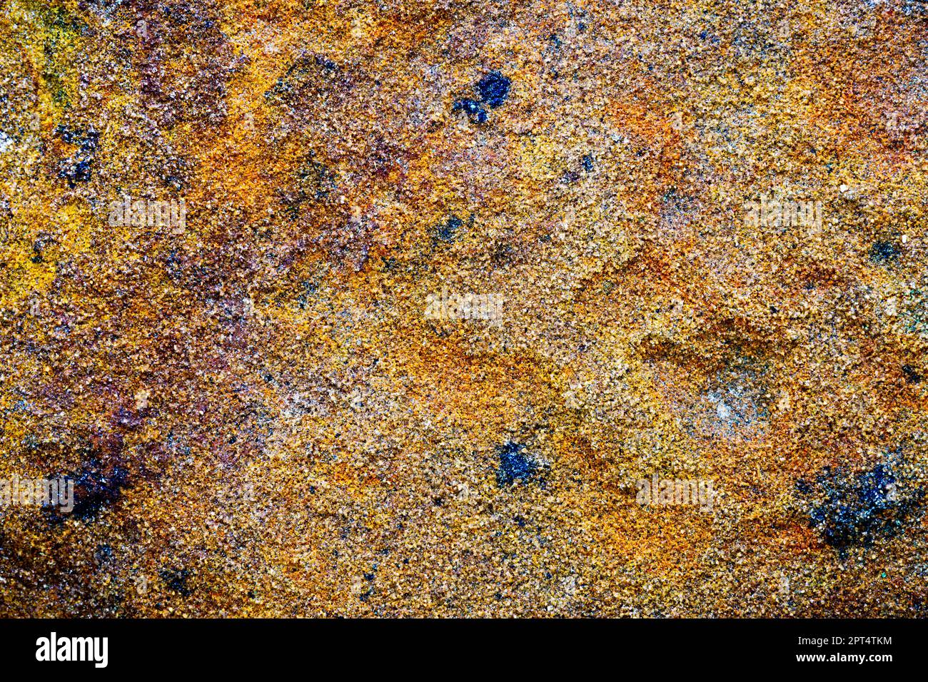 Makrofoto von Sandstein für Hintergründe oder Texturen Stockfoto