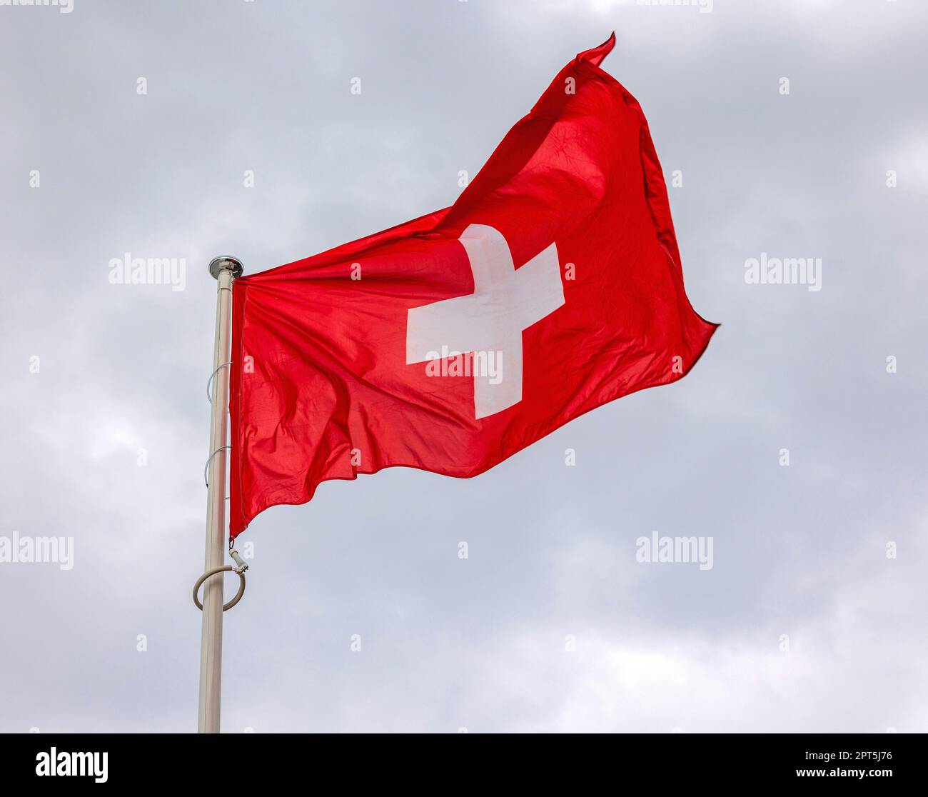 Die rote Flagge der Schweiz Stockfoto