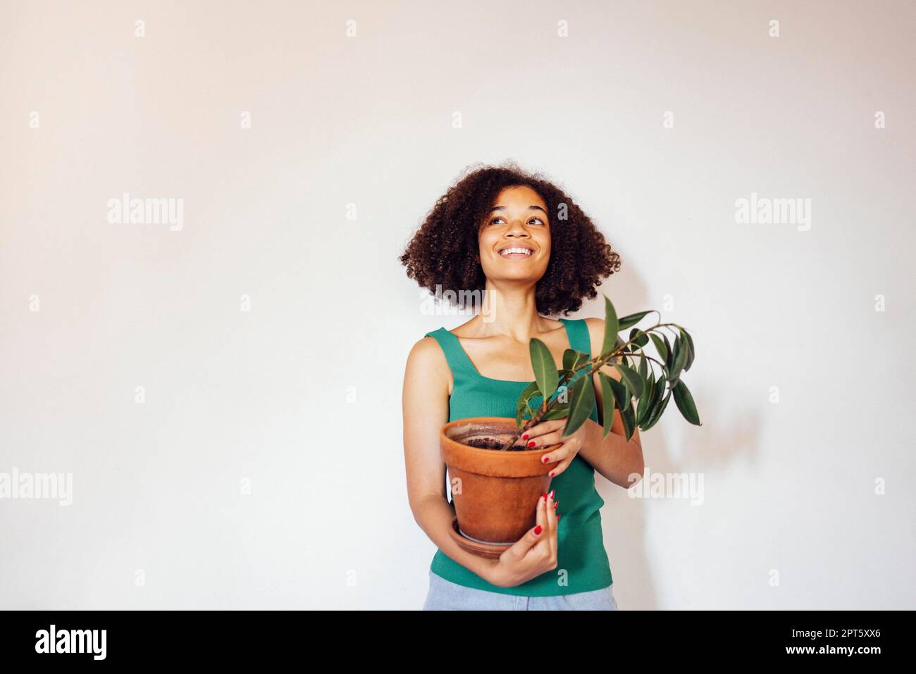 Eine junge, lächelnde, lustige Frau afroamerikanischer Abstammung trägt ein grünes T-Shirt, in dem der Baum auf weißem Hintergrund isoliert zu Hause gehalten wird Stockfoto