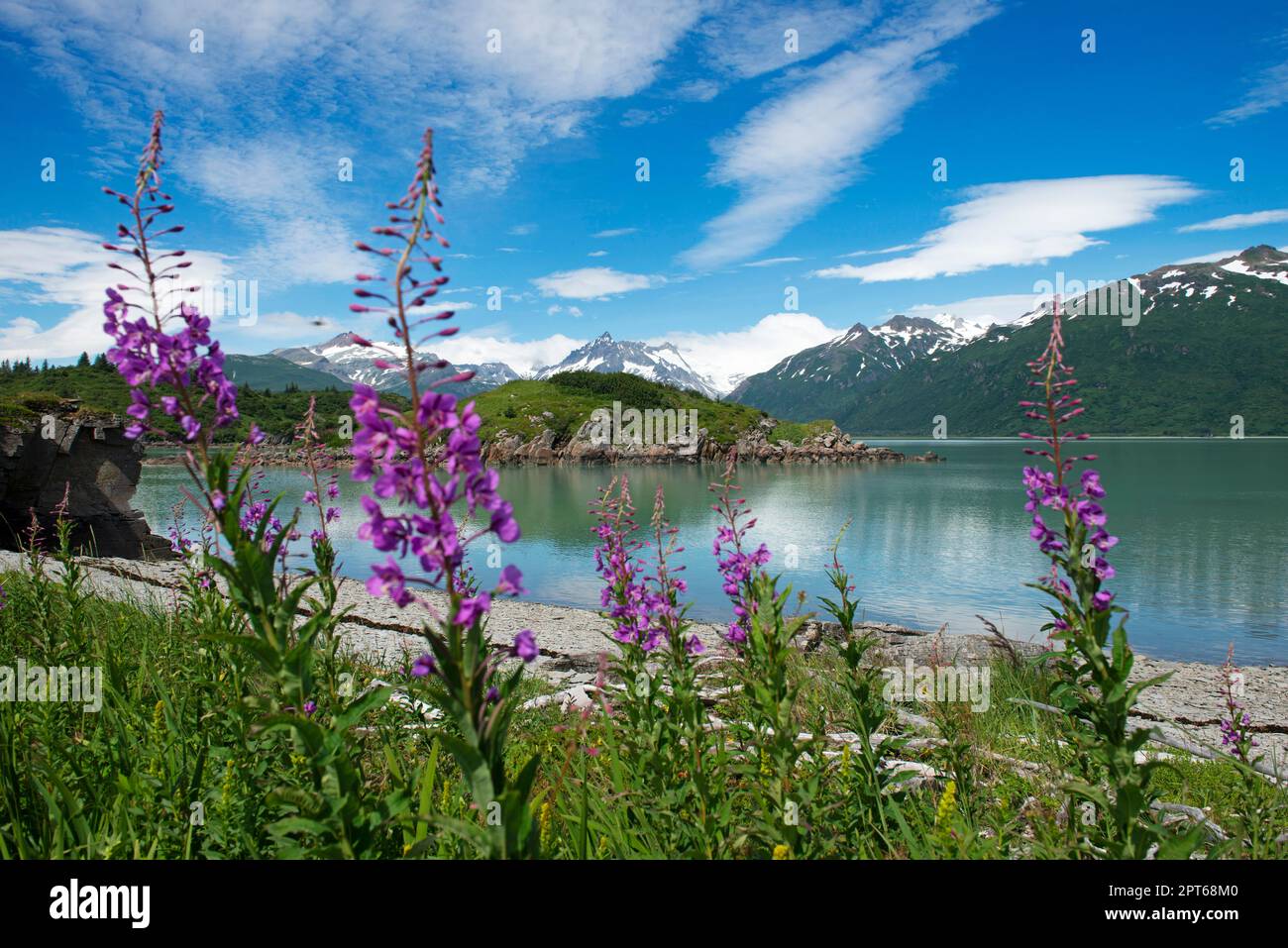 Garten Eden mit Blick über Kukak Bay zum Vulkan Kukak, Mount Steller, Mount Denison, Katmai Nationalpark, Alaska, USA Stockfoto