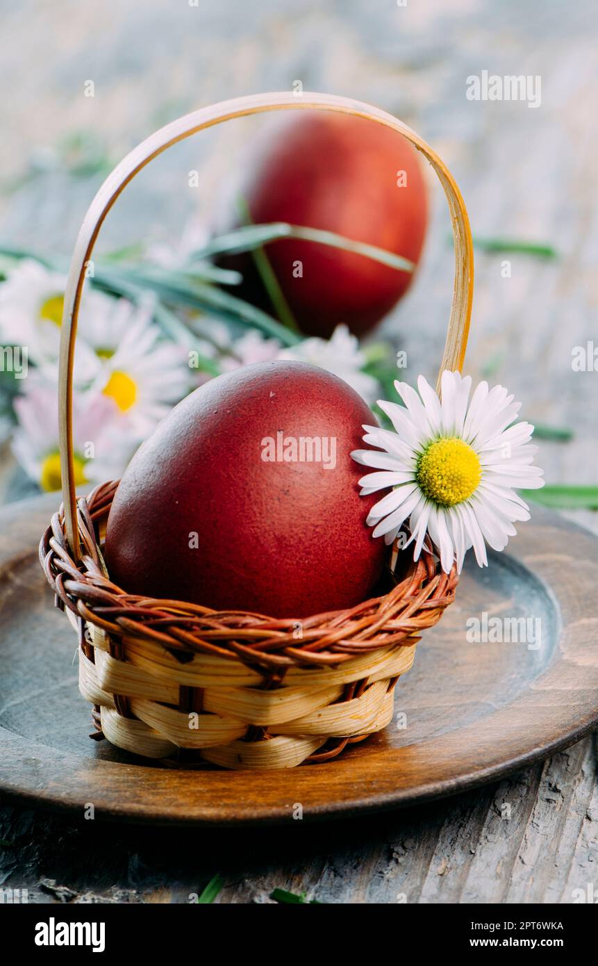 Hand gemalte rote Ostereier und daisy flower closeup in rustikalen Holzmöbeln Korb. Ostern Stillleben Feder Dekoration. Traditionelle handbemalte ester Eier Stockfoto