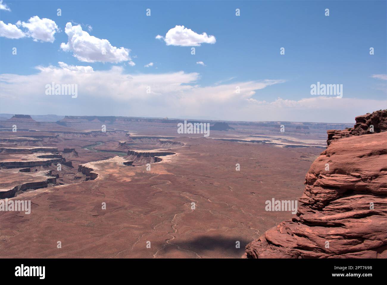 Überblicken Sie Canyonlands NP Stockfoto