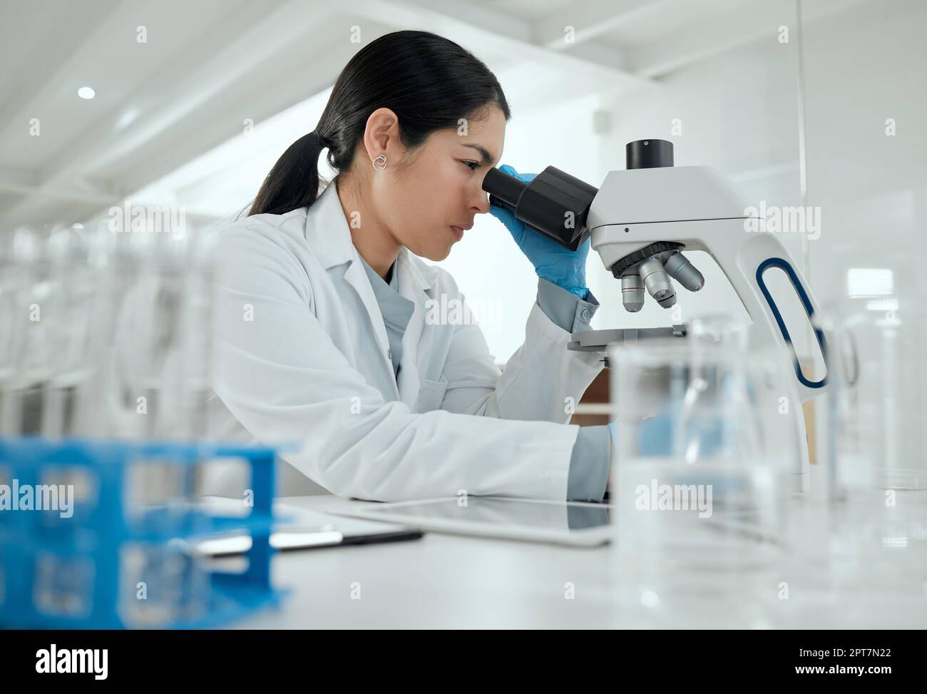 Ich Suche nach dem einen unter einer Million Schüssen. Eine junge Frau, die ein Mikroskop in einem wissenschaftlichen Labor benutzt Stockfoto