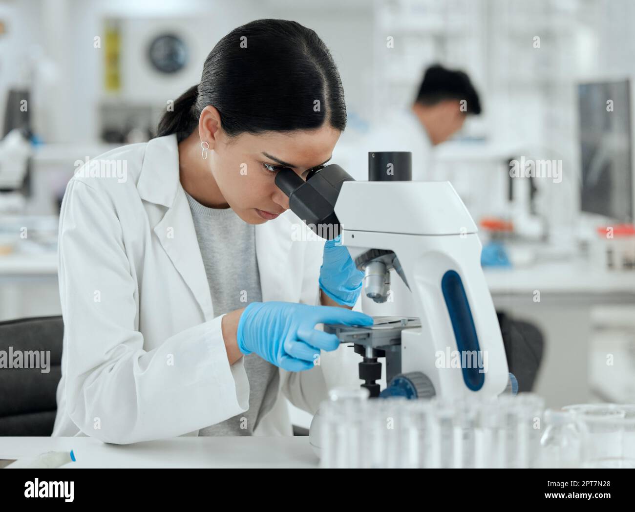 Auf der Suche nach einem Heilmittel. Eine junge Frau, die ein Mikroskop in einem wissenschaftlichen Labor benutzt Stockfoto