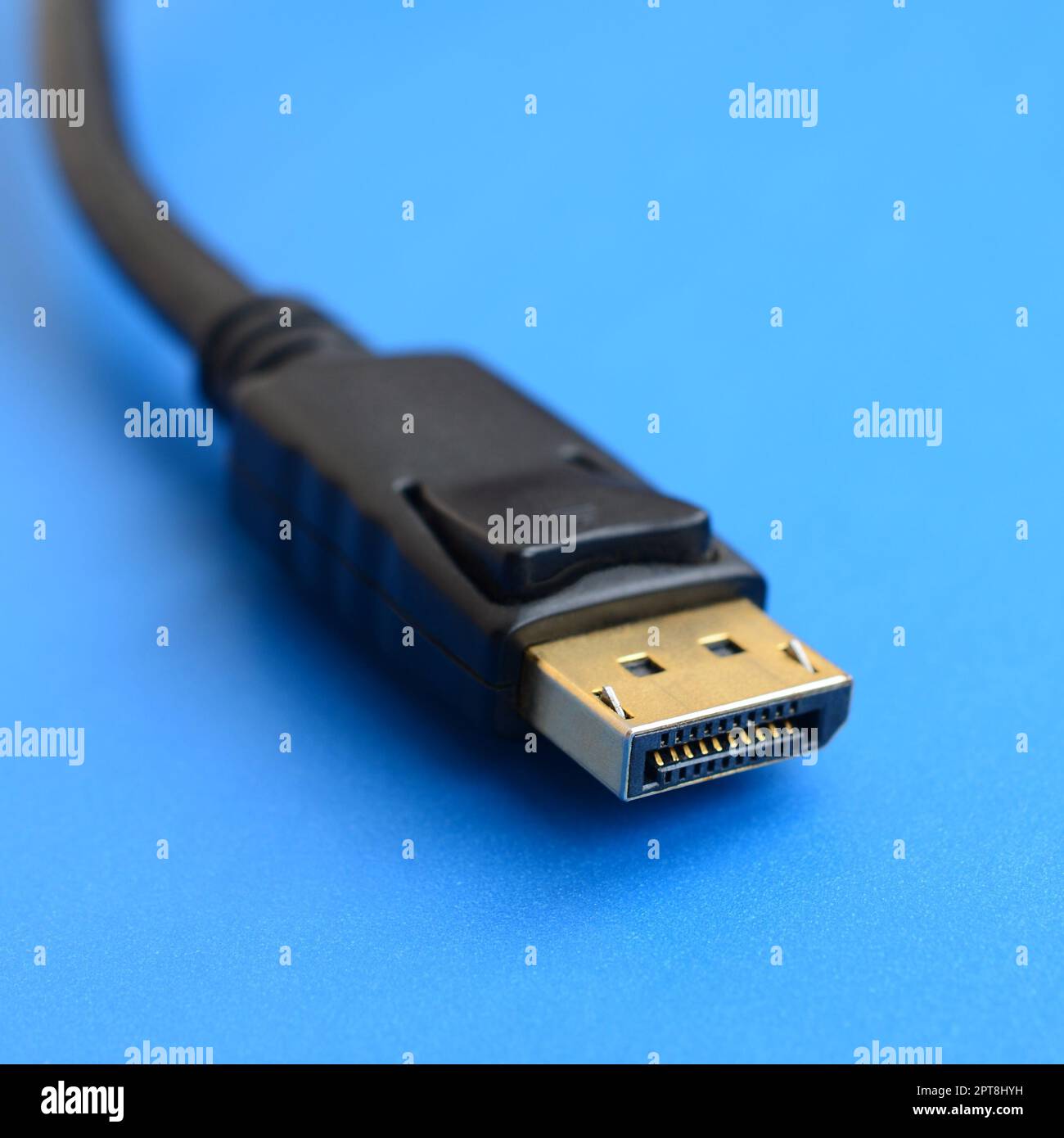 20-poliger vergoldeter DisplayPort-Stecker für eine fehlerfreie Verbindung auf blauem Hintergrund Stockfoto