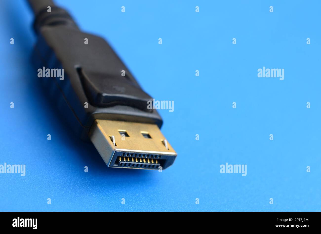 20-poliger vergoldeter DisplayPort-Stecker für eine fehlerfreie Verbindung auf blauem Hintergrund Stockfoto
