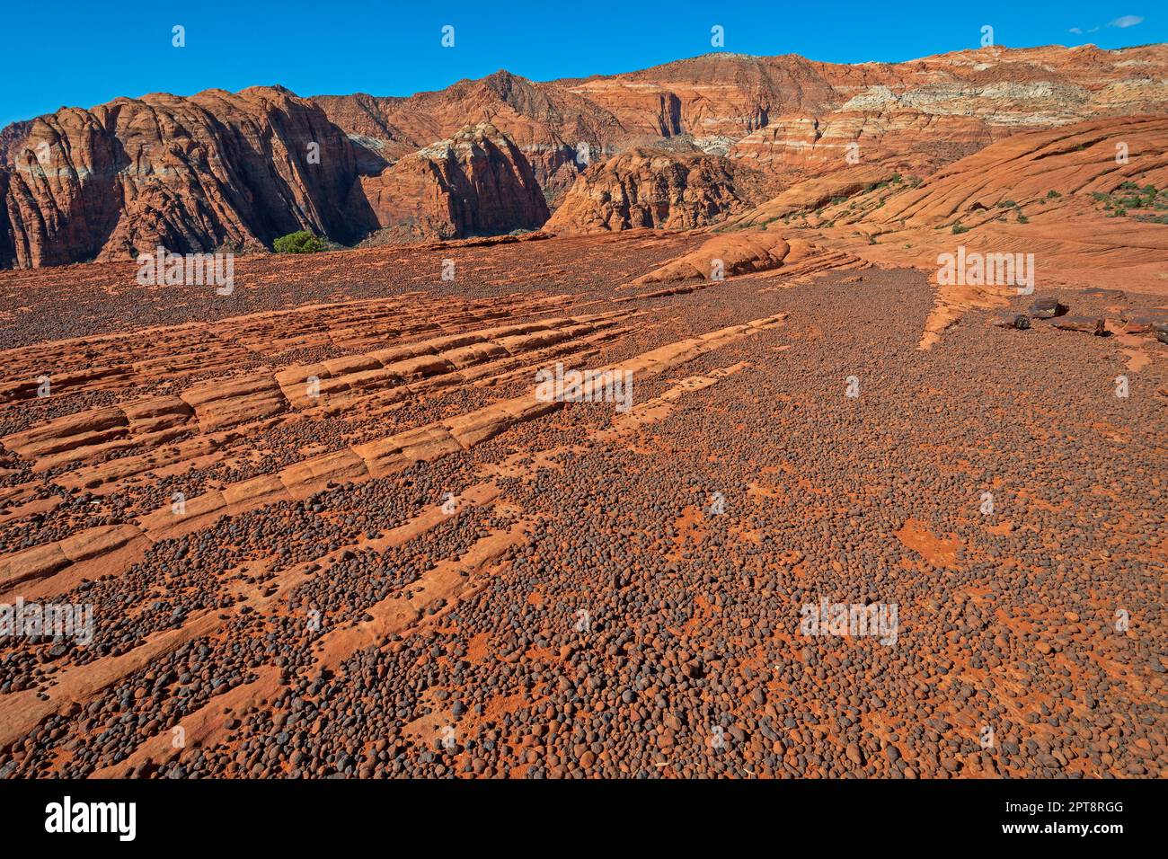 Vulkanische Kieselsteine auf einem Sandsteinplateau im Snow Canyon State Park in Utah Stockfoto