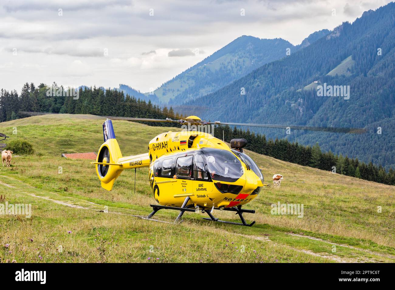 ADAC, Hubschrauber, Mission, Daffneralm, Bayern, Deutschland Stockfoto