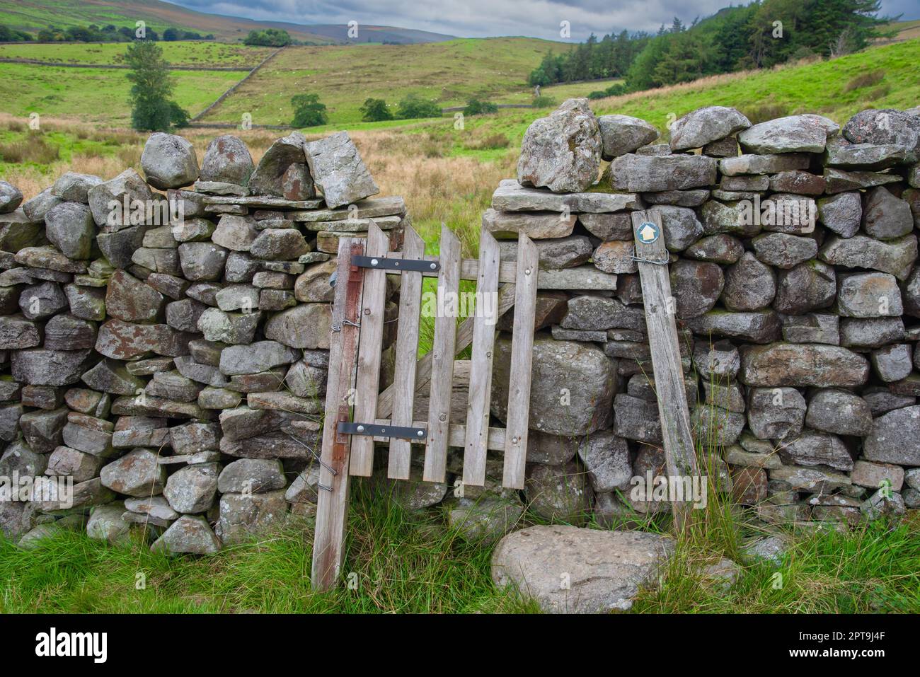Holztor auf einem Wanderweg in den Yorkshire Dales, England, Großbritannien. Stockfoto