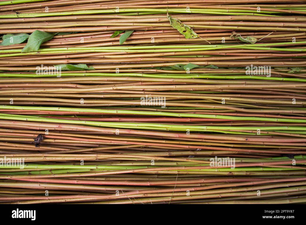 Rot-Grün Raw Jute Textur Hintergrund. Dies ist die sogenannte Golden Fiber in Bangladesch Stockfoto