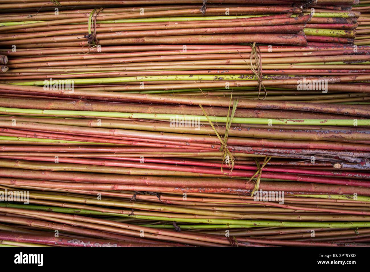 Rot-Grün Raw Jute Textur Hintergrund. Dies ist die sogenannte Golden Fiber in Bangladesch Stockfoto
