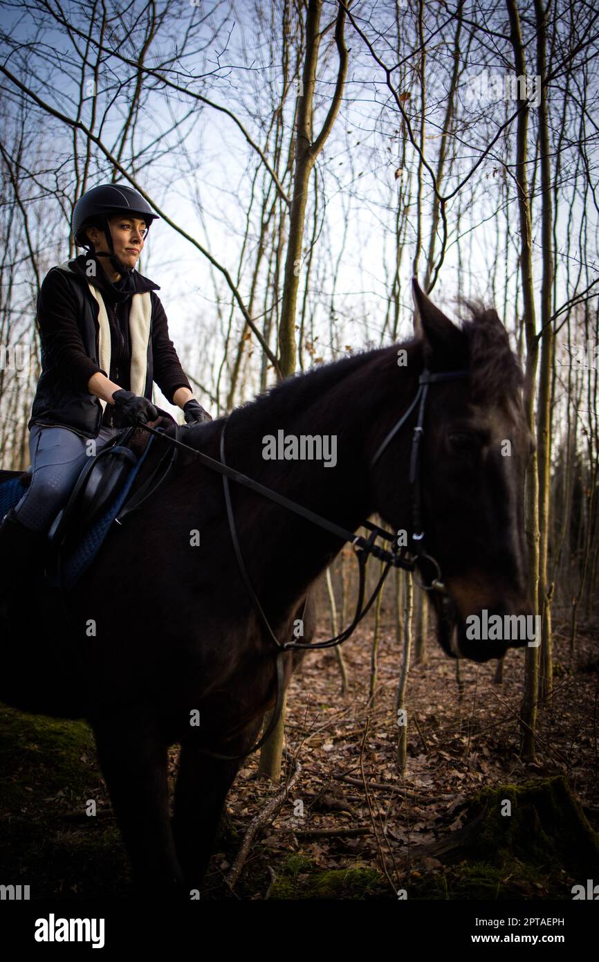 Weibliche Reiterin Reiten im Freien auf ihrem schönen Pferd Stockfoto