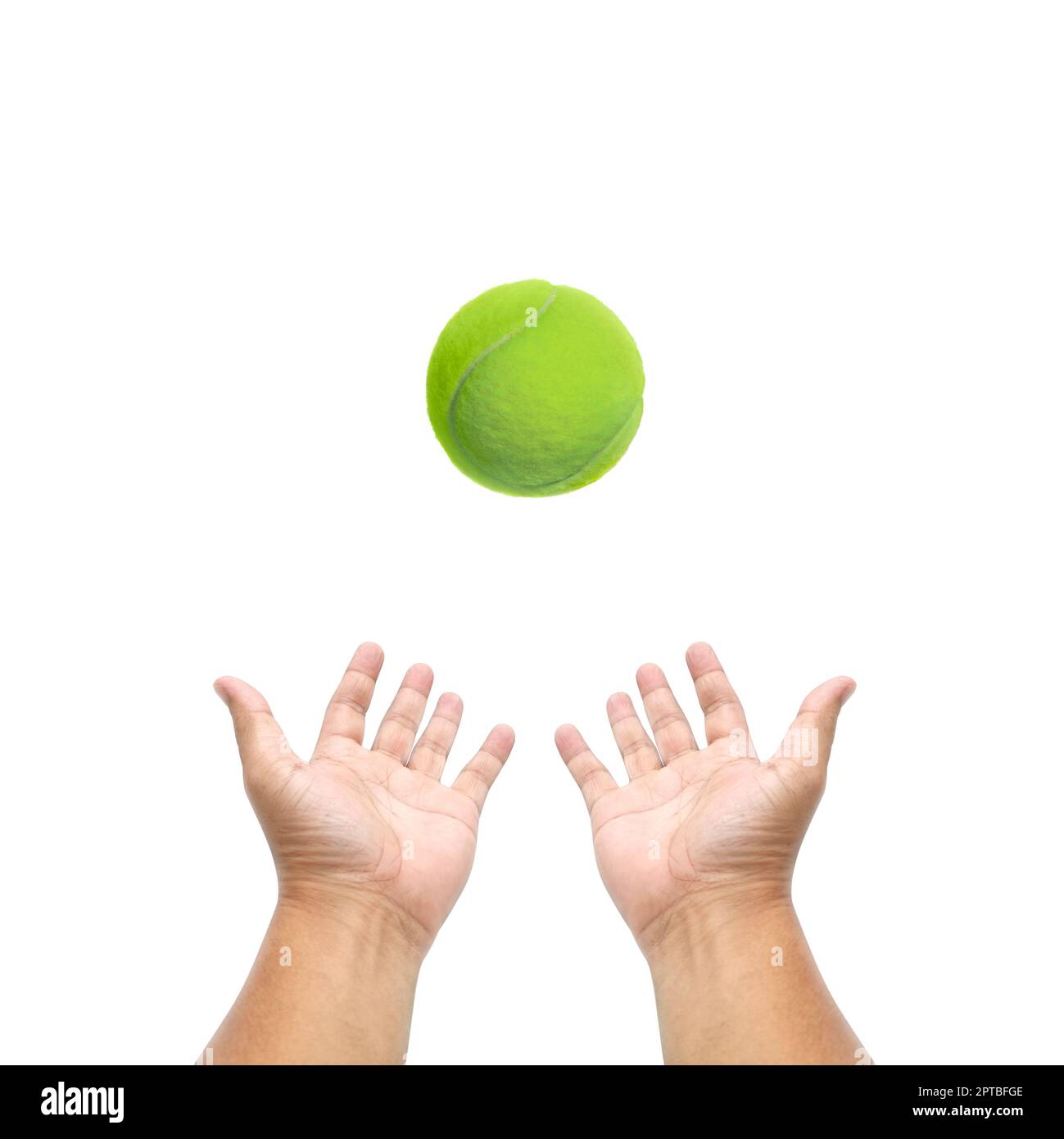 Hand hält Tennisball auf weißem Hintergrund Stockfoto