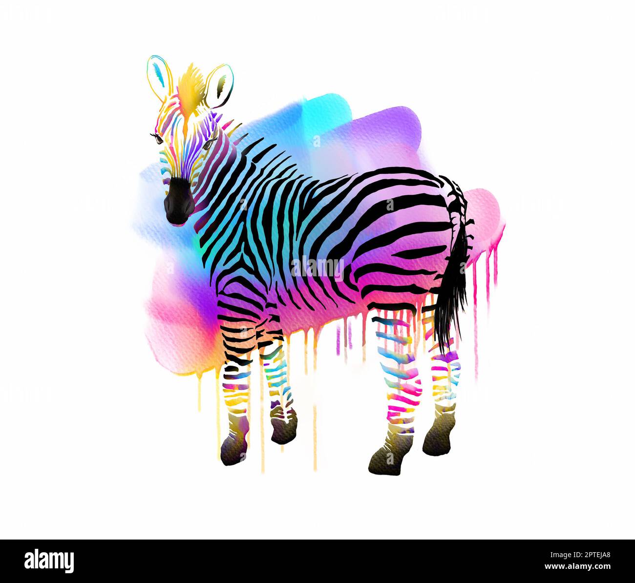 Schickes Zebra mit bunten Streifen und Aquarellen Stockfoto