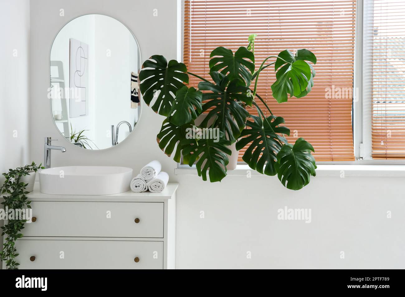 Helles Badezimmer mit Waschbecken, Spiegel und Monstera-Zimmerpflanze  Stockfotografie - Alamy