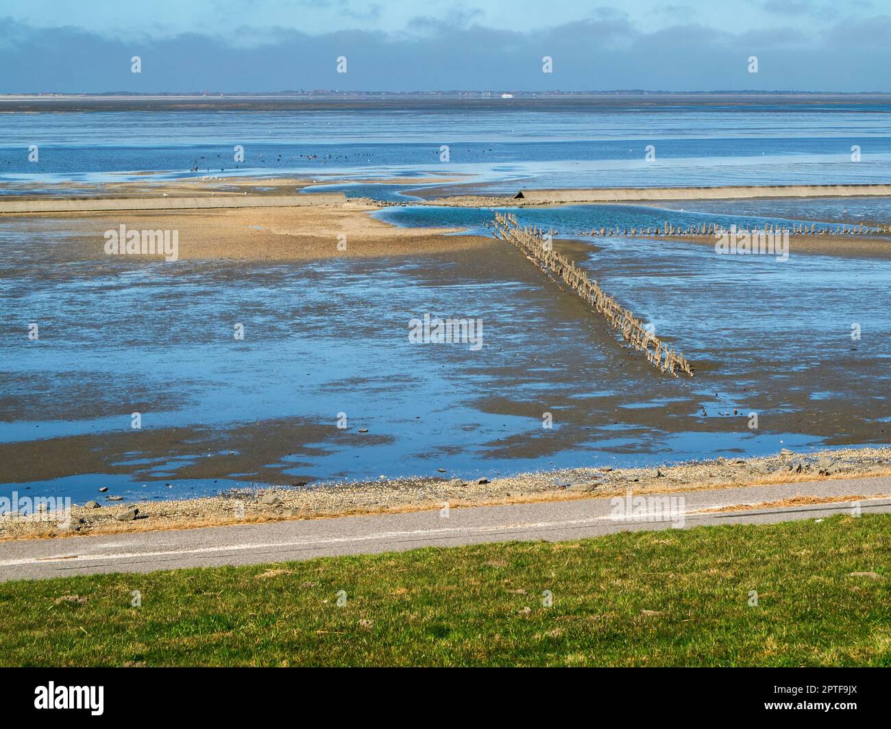 Blick vom Deich des Niedersächsischen Wattenmeers mit dem Wasser, das abfließt, und weiter Blick auf die Insel Langeoog unter einem wolkigen Himmel. Stockfoto