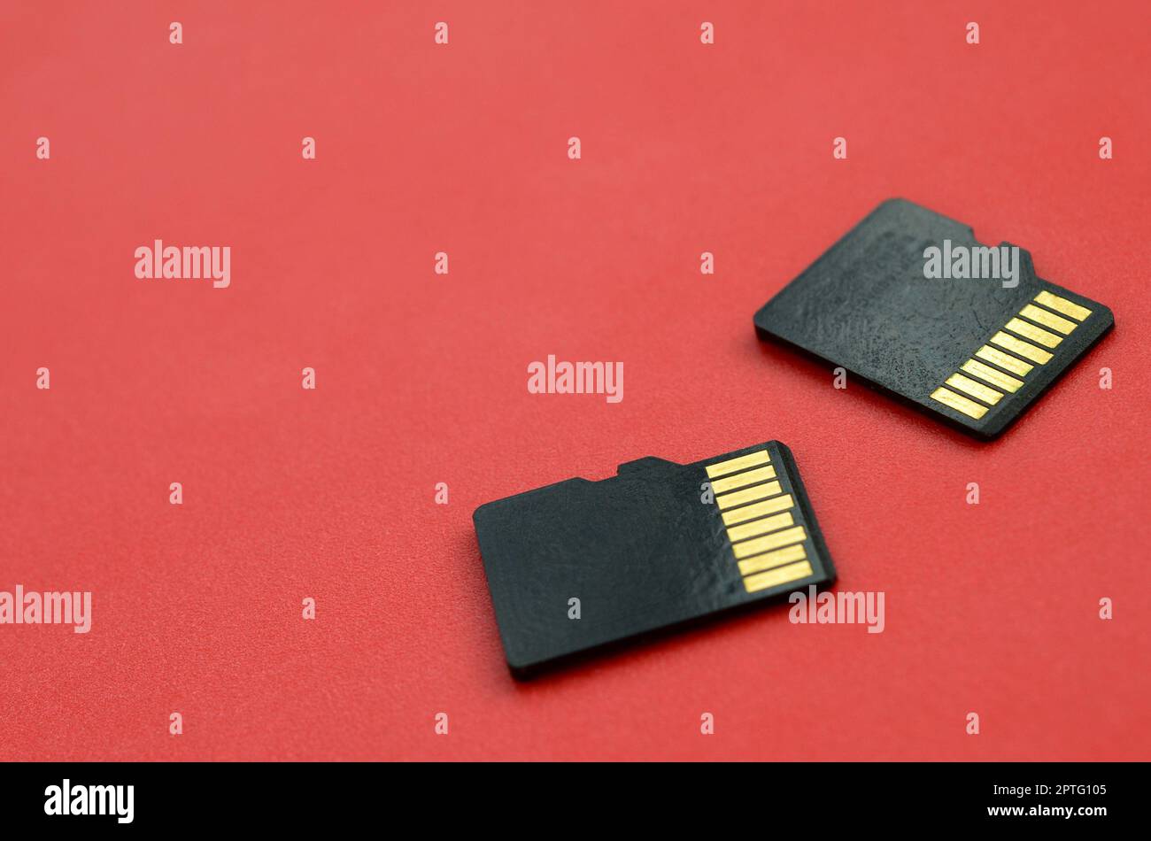 Zwei kleine microSD-Speicherkarten liegen auf rotem Hintergrund. Ein kleiner und kompakter Daten- und Informationsspeicher Stockfoto