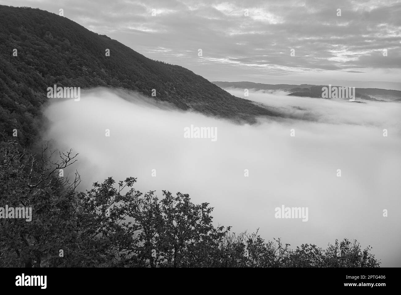 Nebel steigt auf den Bergen der kleinen Saarschleife. Mystische Stille an der Saar im Saarland. Stockfoto