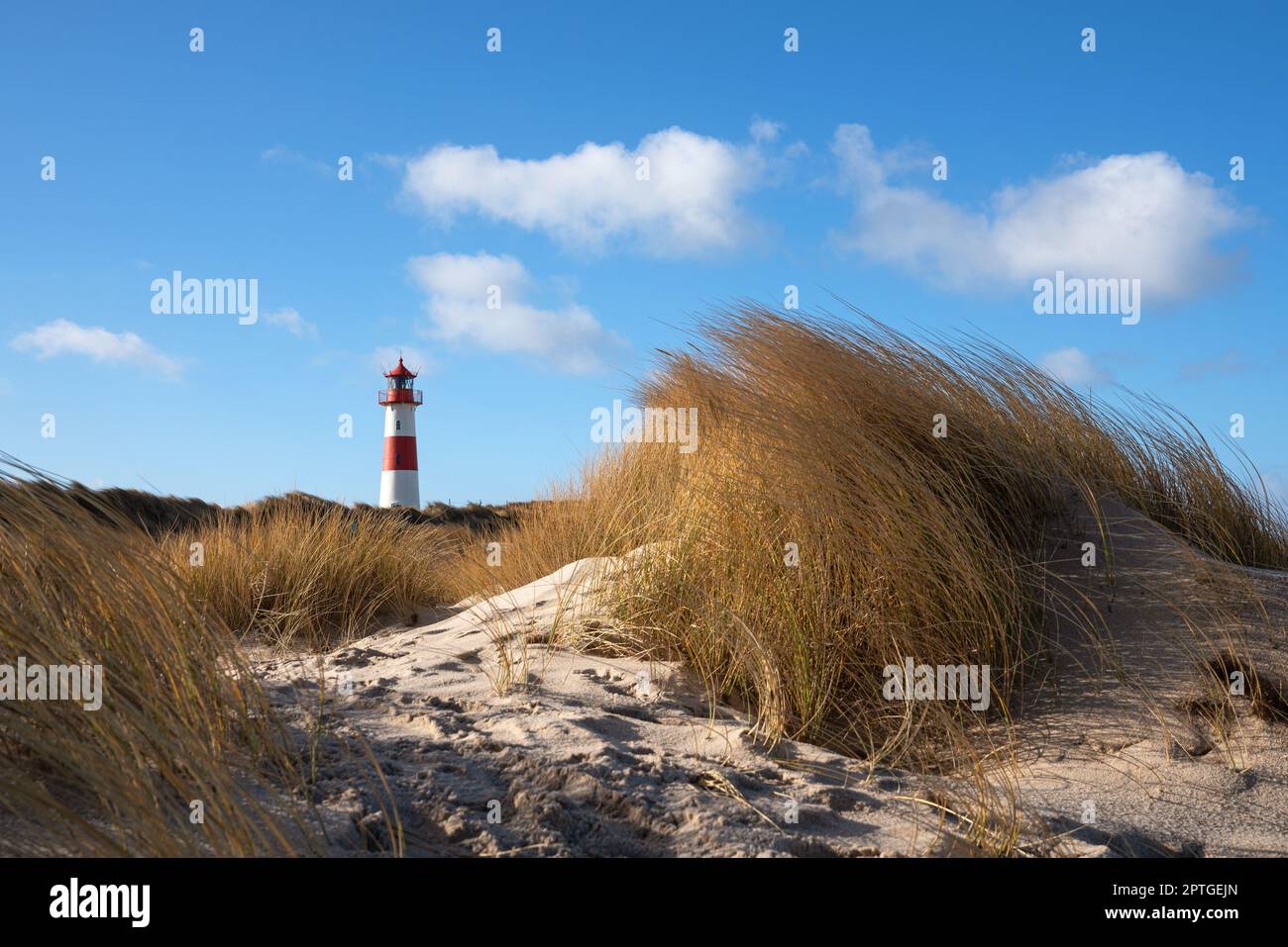 Panoramabild des Leuchtturms List East gegen blauen Himmel, Sylt, Nordfriesland, Deutschland Stockfoto