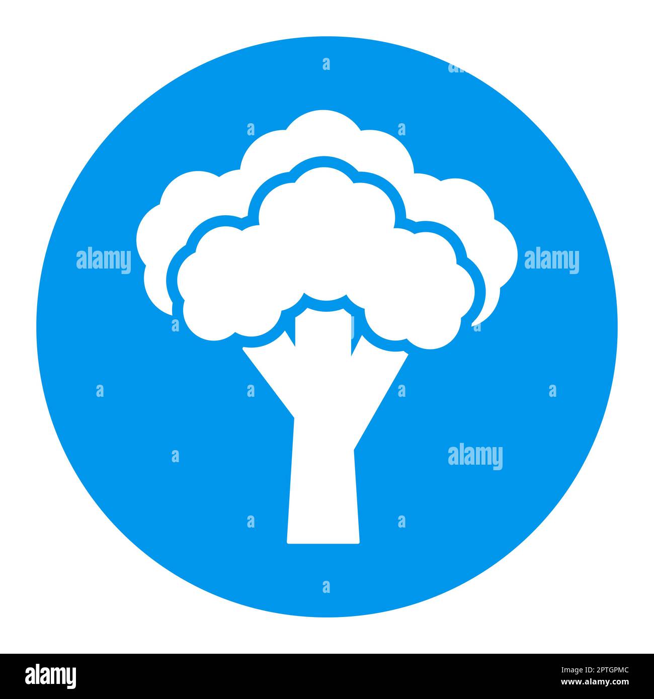 Brokkoli isoliert Design Vektor Glyphe Symbol. Gemüseschild. Graph-Symbol für Lebensmittel- und Getränkeseite, Apps-Design, mobile Apps und Printmedien, Logo, Stockfoto