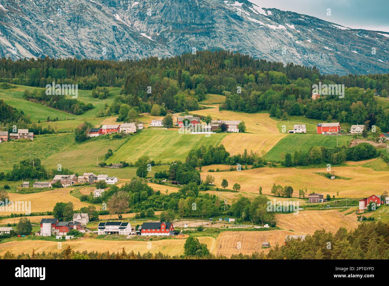 Voss, Norwegen. Sommer malerische Landschaft mit Feldern und Roten landwirtschaftlichen Gebäuden. Traditionelle norwegische hochgelegenes Dorf mit alten Holzhäusern. Stockfoto