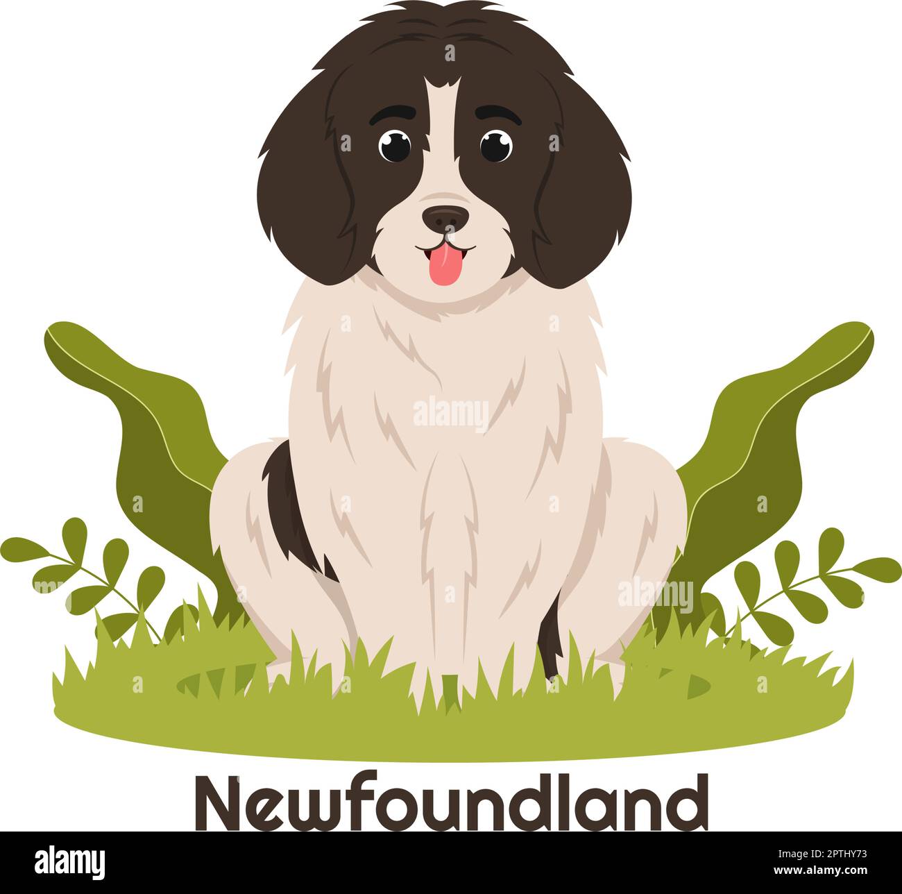 Neufundland Hund Tiere mit Schwarz, Braun oder Landseer Farbe in flachem Stil Cute Cartoon Template Handgezeichnete Illustration Stock Vektor