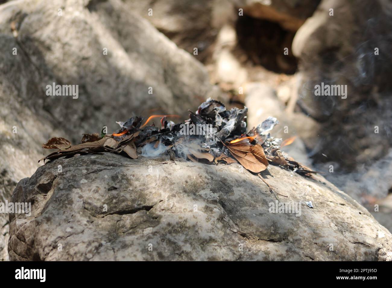 Flamme am Wald, Bergseite Stockfoto