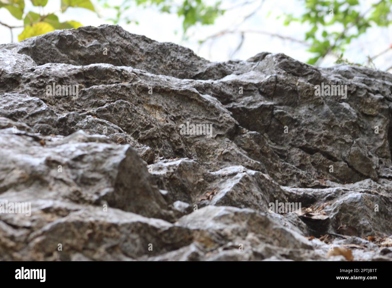 Großer Berg-Felsen auf einer Waldseite Stockfoto