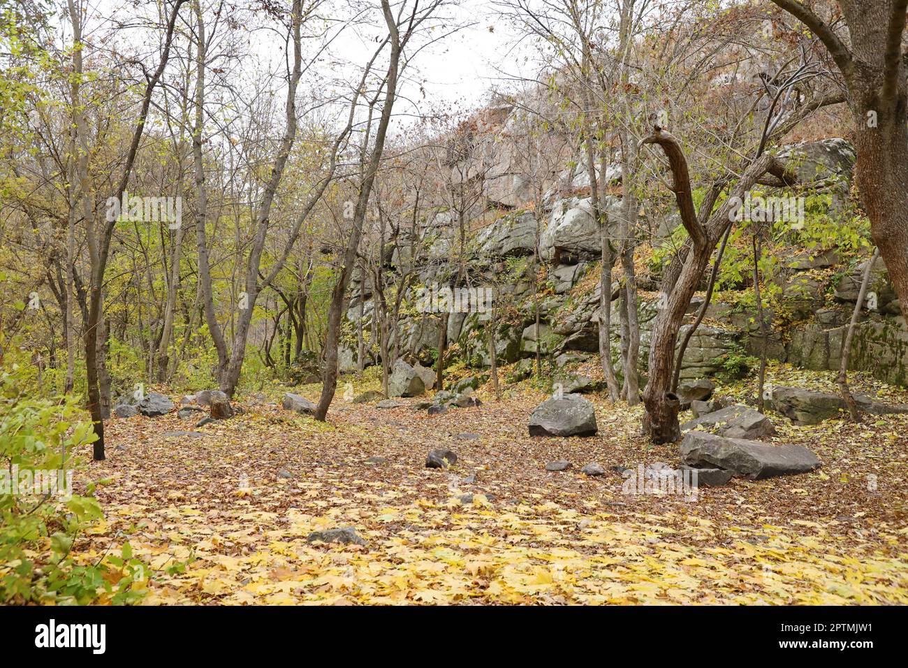 Granitfelsen des Bukski Canyon im Herbst. Malerische Landschaft und schöner Ort des ukrainischen Tourismus Stockfoto