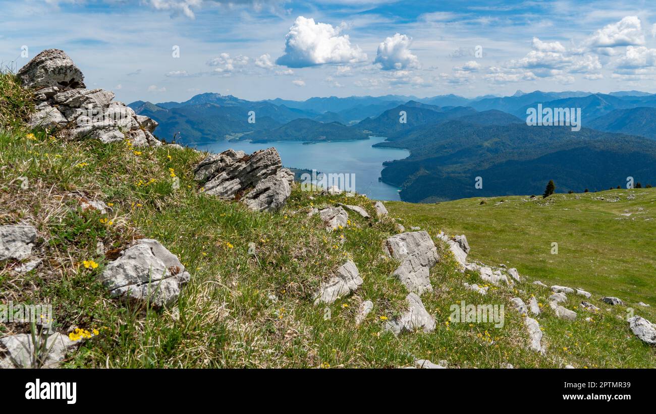 Walchen-See vom Simetsberg in den Bayerischen Alpen aus gesehen Stockfoto