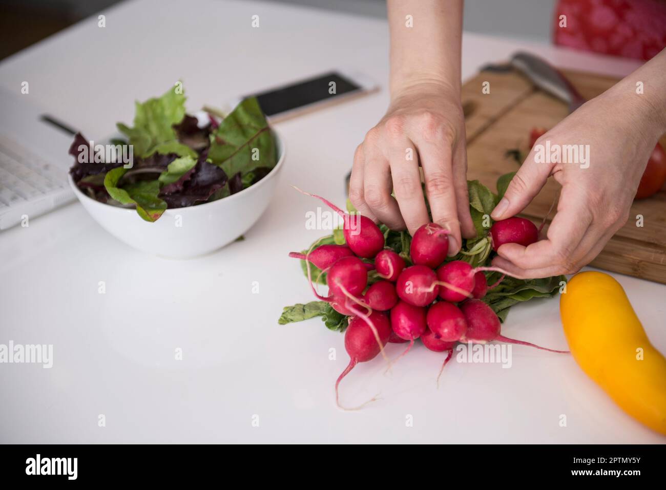 Nahaufnahme einer Frau, die frisches Gemüse in der Küche schneidet, München, Bayern, Deutschland Stockfoto