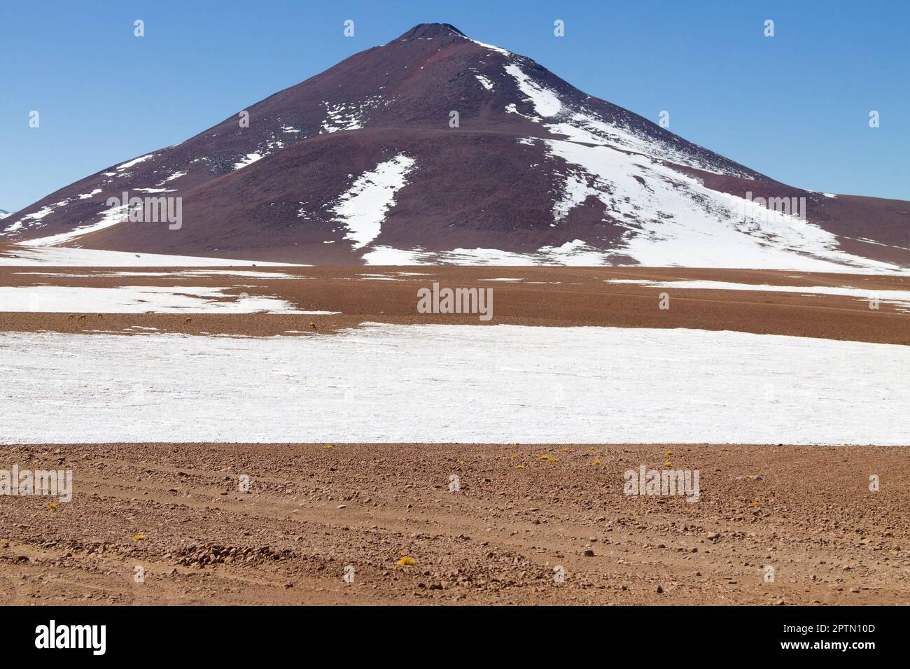 Bolivianischen Landschaft, Salvador Dali Desert View. Schöne Bolivien Stockfoto