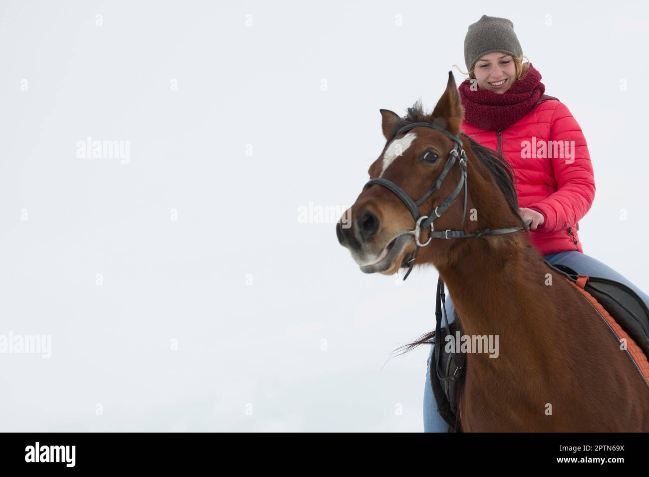 Junge Frau, die im Winter reitet, Bayern, Deutschland Stockfoto