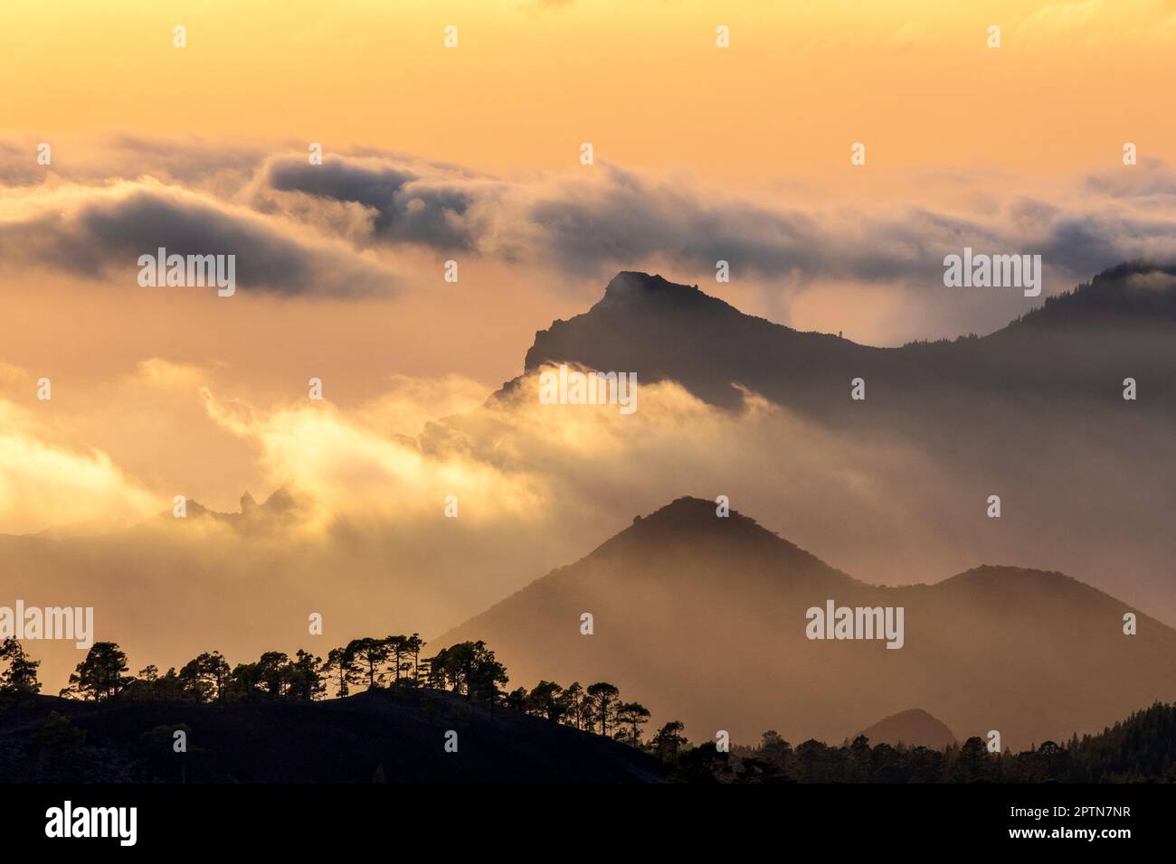 Sonnenuntergang über den Wolken im Teide-Nationalpark, Teneriffa, Kanarische Inseln, Spanien Stockfoto