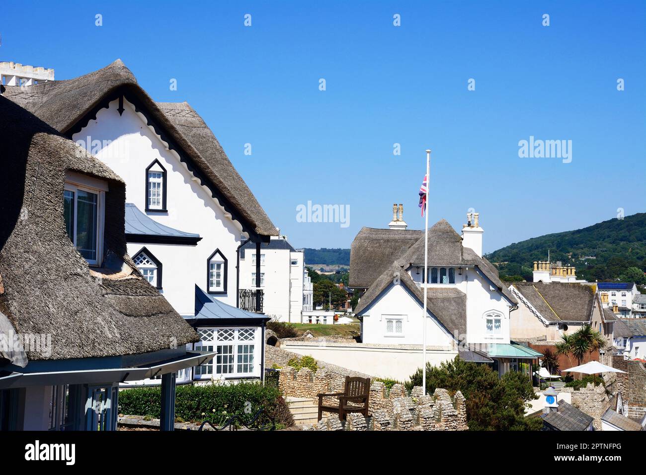 Hübsche weiße strohgetünchte Hütten in der Nähe des Meeres, Sidmouth, Devon, Großbritannien, Europa. Stockfoto