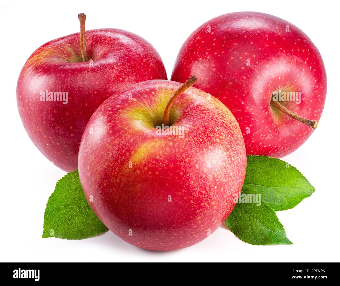 Reife rote Äpfel mit grünen Blättern auf weißem Hintergrund. Stockfoto